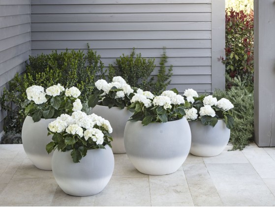 Ваза - кашпо для сада Pot a Porter CORTINA