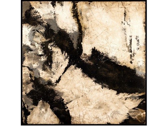 Картина NOVOCUADRO ART COMPANY Lizard