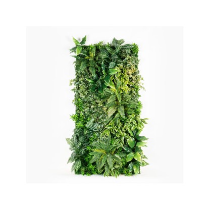 Рама с декоративными растениями VGnewtrend KAINDY