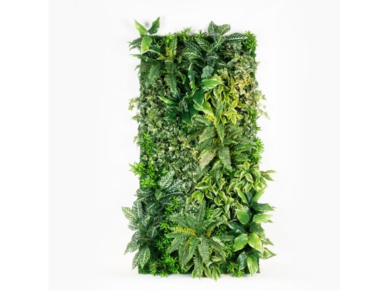 Рама с декоративными растениями VGnewtrend KAINDY