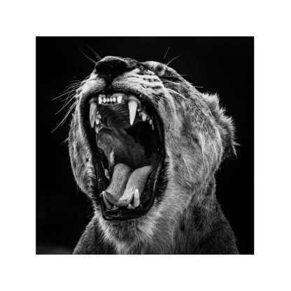 Акустические стеновые панели MOMENTI LB-006