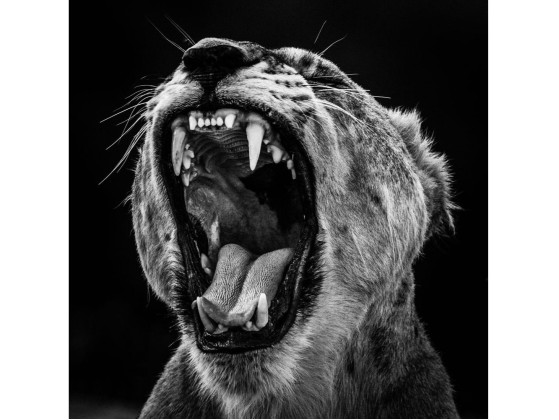 Акустические стеновые панели MOMENTI LB-006