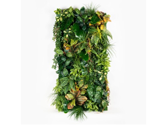 Рама с декоративными растениями VGnewtrend HANA