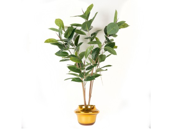 Ваза VGnewtrend GOLD ATOLLO FICUS