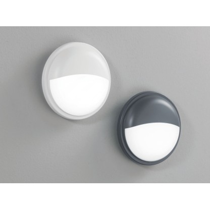 Настеннопотолочные светильники Fan Europe Lighting EVER