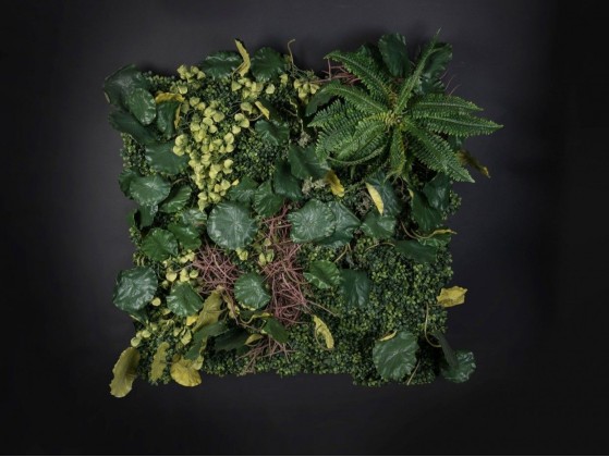 Рама с декоративными растениями VGnewtrend LOTUS LEAF WALL