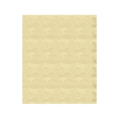 Ковер Tapis Rouge Distribution COLOR BLOCK GOLD