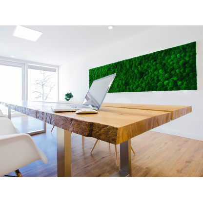 Рамы с декоративными растениями Freund GmbH GREENHILL MOSS PICTURES