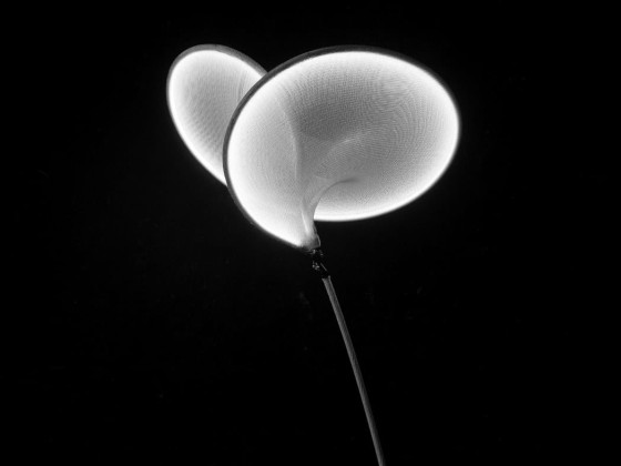 Напольный светильник llll IIII.01