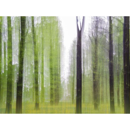 Фотографии Alidem PRIMAVERA A MILANO