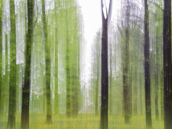 Фотографии Alidem PRIMAVERA A MILANO