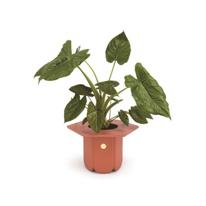 Ваза Scapin Collezioni CI