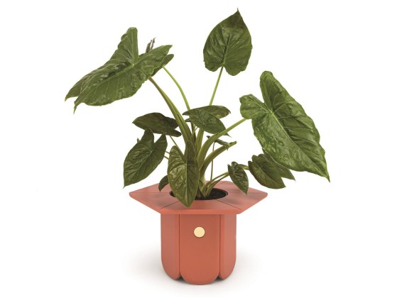 Ваза Scapin Collezioni CI