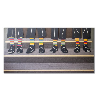 Картина LIGNIS® CAPRICCIO SOCKS