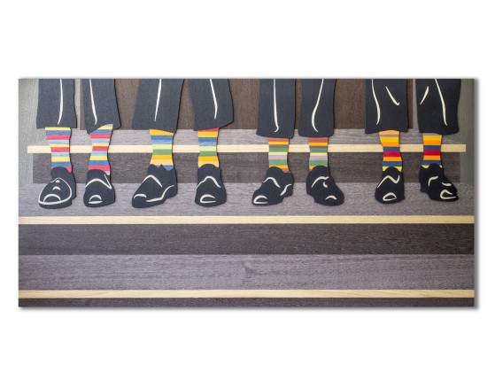 Картина LIGNIS® CAPRICCIO SOCKS