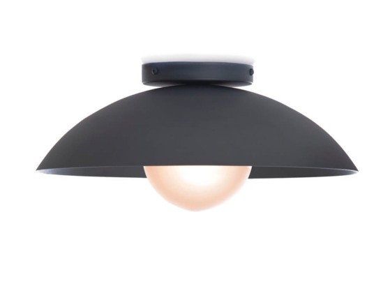 Потолочные светильники Luminaire Authentik DANOISE 1505-LA20