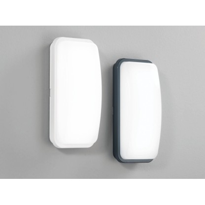 Настеннопотолочные светильники Fan Europe Lighting SHELLY