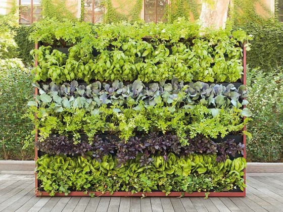 Живые стены Paola Lenti GREENERY