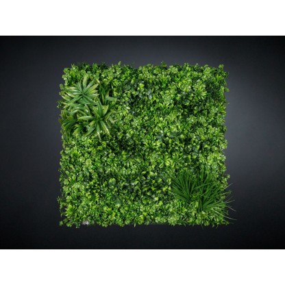 Живые стены VGnewtrend ECUADOR