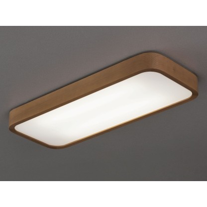 Потолочные светильники Ole Lighting NATURE