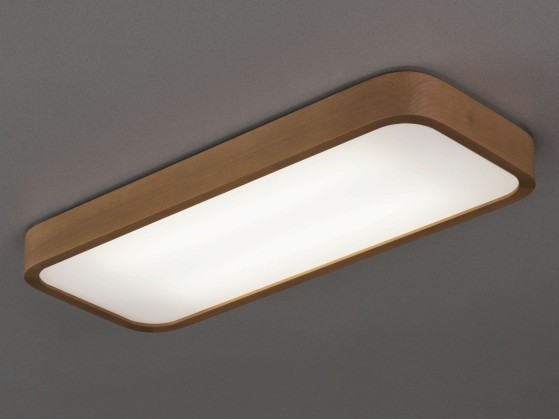 Потолочные светильники Ole Lighting NATURE