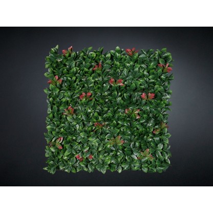 Живые стены VGnewtrend PHOTINIA