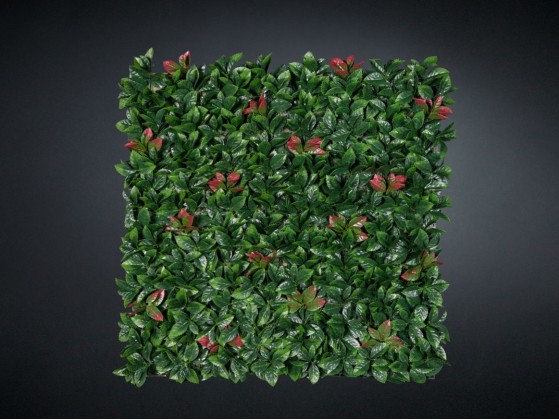 Живые стены VGnewtrend PHOTINIA