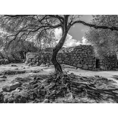 Фотографии Alidem SARDEGNA