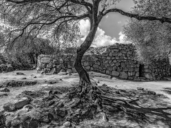 Фотографии Alidem SARDEGNA