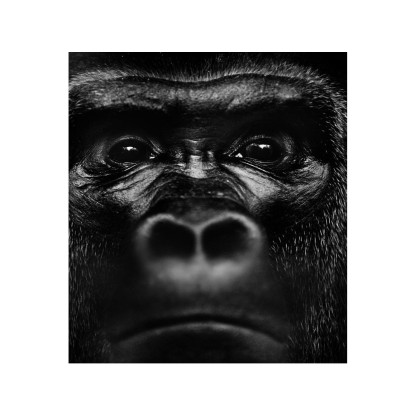 Акустические стеновые панели MOMENTI LB-008