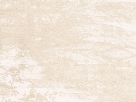 Ткань для штор Rubelli DERBY TOILE