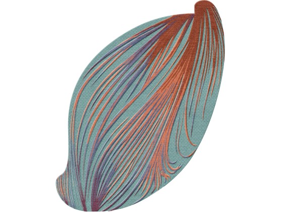 Ковер Tapis Rouge Distribution LASER EARTH