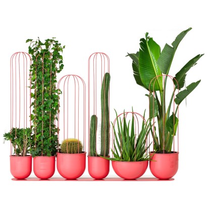 Кашпо Nola Industrier CACTI