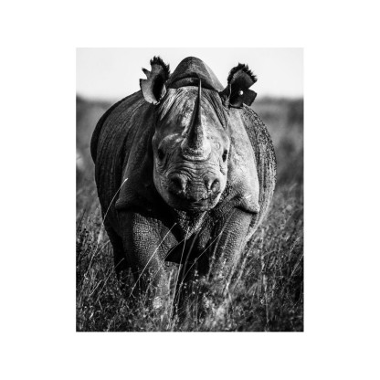 Акустические стеновые панели MOMENTI LB-001