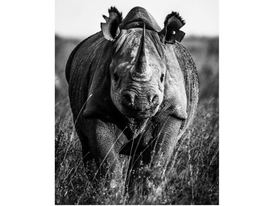 Акустические стеновые панели MOMENTI LB-001