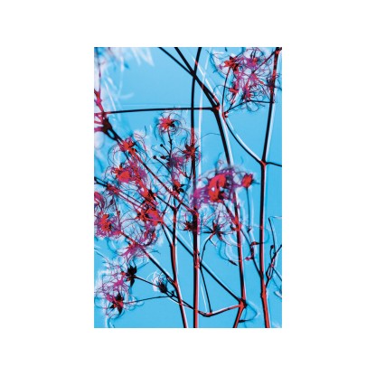 Акустические стеновые панели MOMENTI ED-006