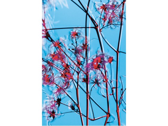 Акустические стеновые панели MOMENTI ED-006