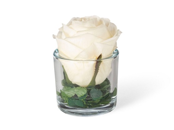 Ваза VGnewtrend ETERNITY BIG