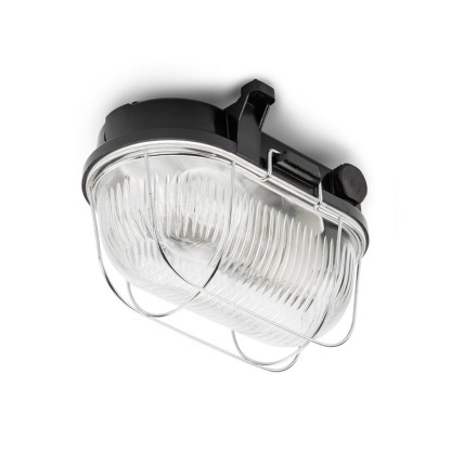 Уличные наружные потолочные светильники THPG 100501