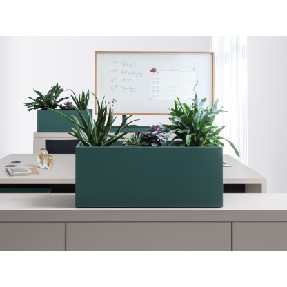 Кашпо werner works BASIC TOP