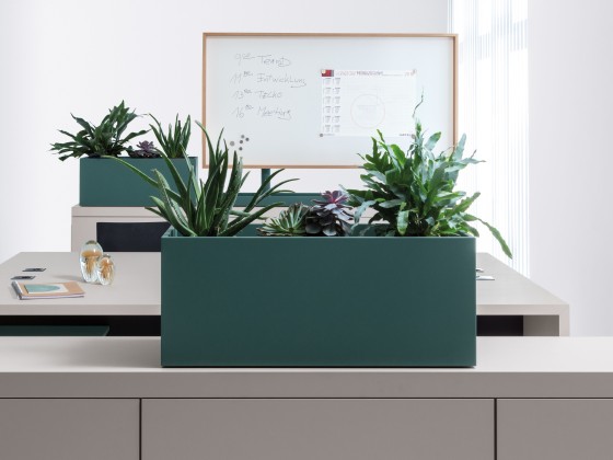 Кашпо werner works BASIC TOP