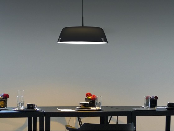 Подвесные светильники Vertigo Bird BORDERLINE SUSPENSION 616S