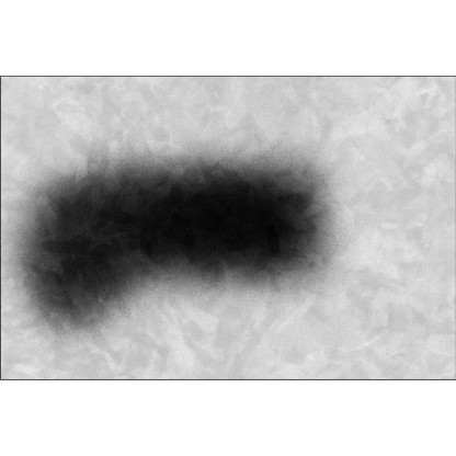 Ковер VIDAME EDITIONS BLUR 18