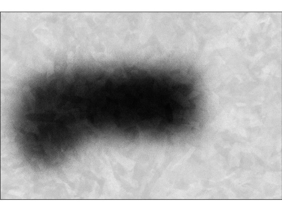 Ковер VIDAME EDITIONS BLUR 18