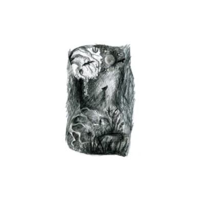 Акустические стеновые панели Moroso DARK FOREST