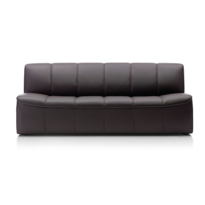 Диван de Sede DS-910