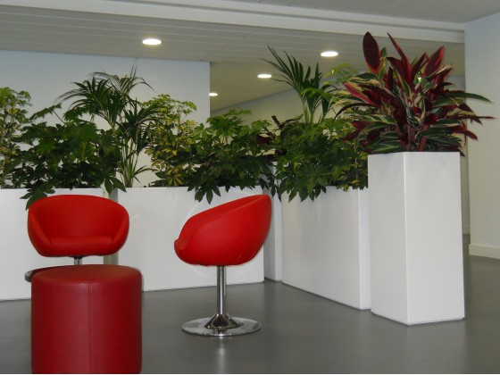 Кашпо ATELIER SO GREEN BAC INDOOR