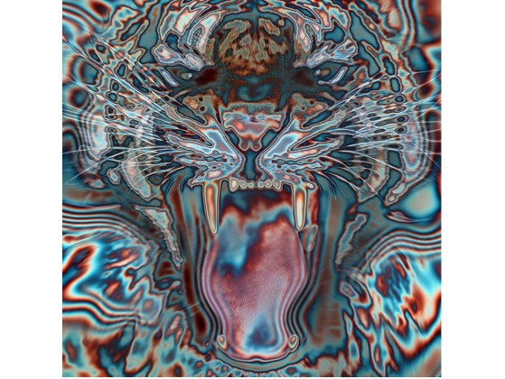 Акустические стеновые панели MOMENTI SN-008