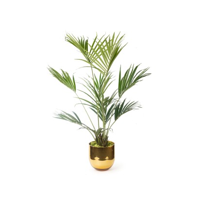 Ваза VGnewtrend KENTIA PALM