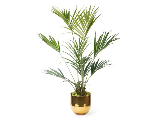 Ваза VGnewtrend KENTIA PALM